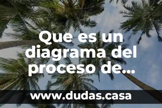 Que es un diagrama del proceso de elavorasion