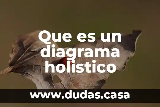 Que es un diagrama holistico