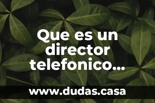 Que es un director telefonico segun autores