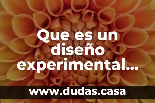 Que es un diseño experimental con bloques al azar