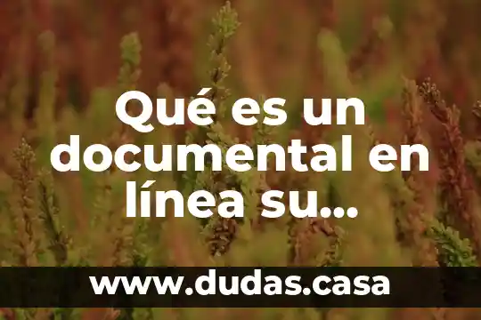 Qué es un documental en línea su definición