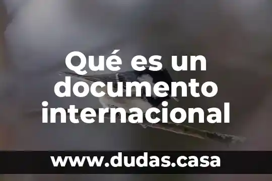 Qué es un documento internacional
