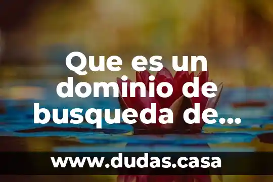 Que es un dominio de busqueda de informacion en internet