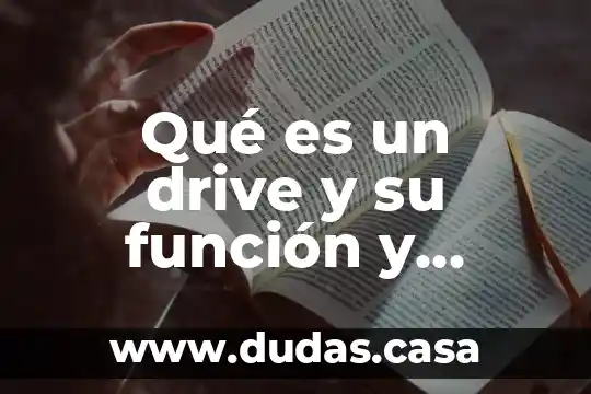 Qué es un drive y su función y características