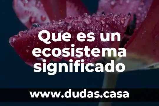 Que es un ecosistema significado