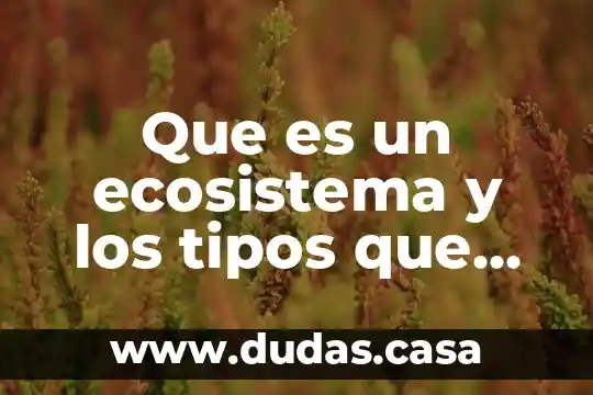 Que es un ecosistema y los tipos que hay