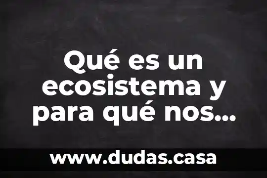 Qué es un ecosistema y para qué nos sirve