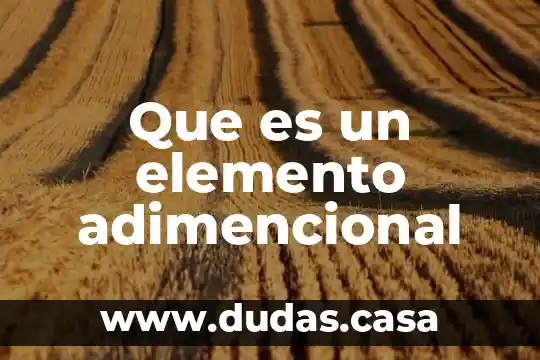 Que es un elemento adimencional