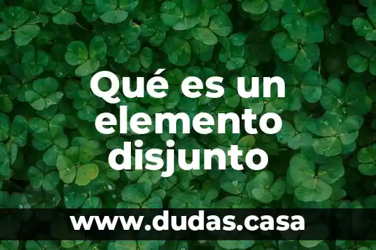 Qué es un elemento disjunto