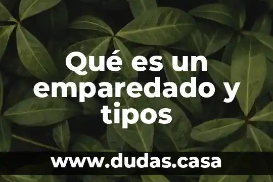 Qué es un emparedado y tipos