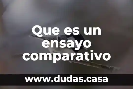 Que es un ensayo comparativo