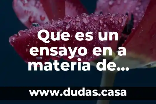 Que es un ensayo en a materia de artes