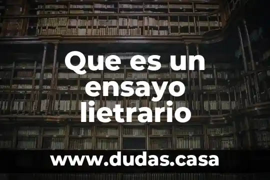 Que es un ensayo lietrario