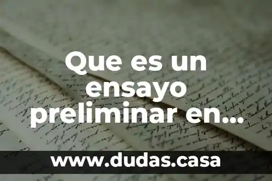 Que es un ensayo preliminar en artes