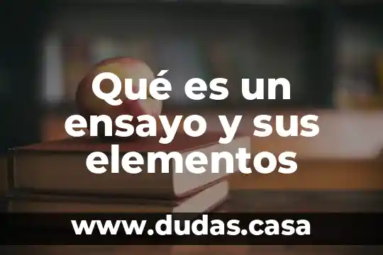 Qué es un ensayo y sus elementos