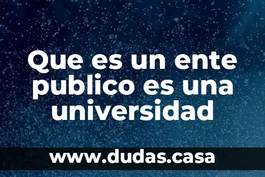 Que es un ente publico es una universidad
