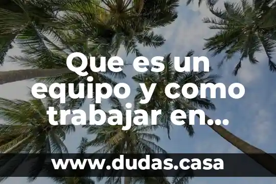 Que es un equipo y como trabajar en equipo