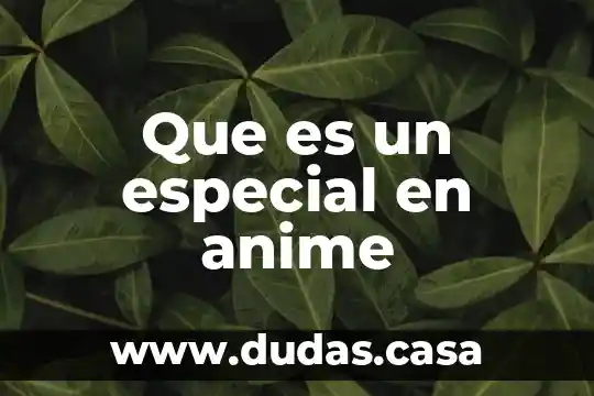 Que es un especial en anime
