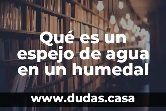 Qué es un espejo de agua en un humedal