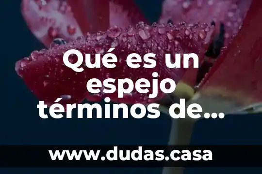 Qué es un espejo términos de física
