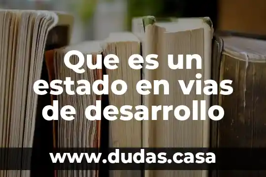 Que es un estado en vias de desarrollo