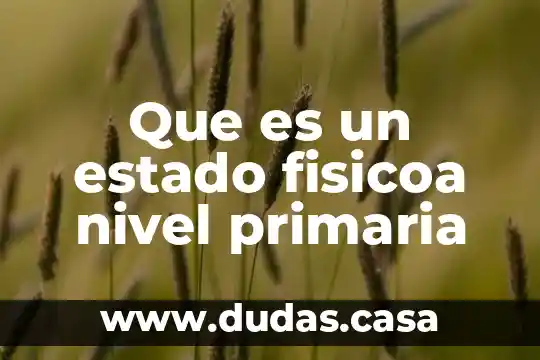 Que es un estado fisicoa nivel primaria
