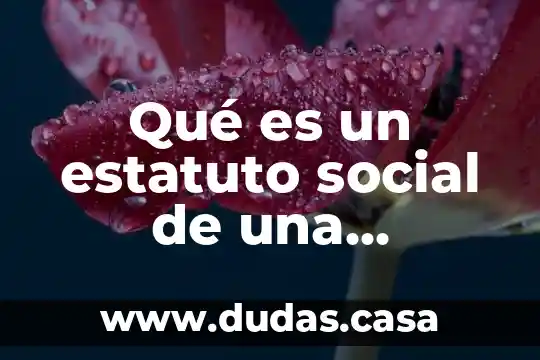 Qué es un estatuto social de una sociedad mercantil