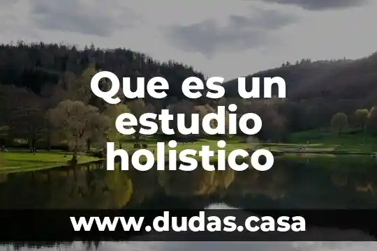 Que es un estudio holistico