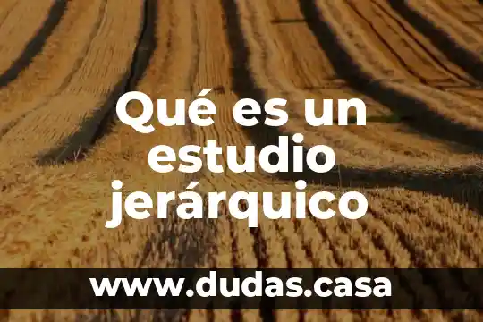 Qué es un estudio jerárquico