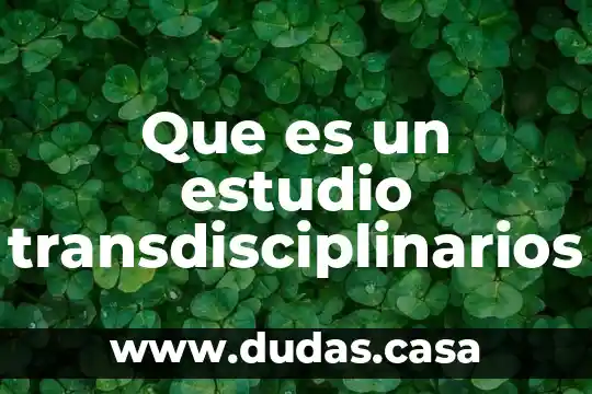 Que es un estudio transdisciplinarios