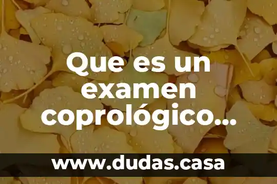 Que es un examen coprológico Yahoo