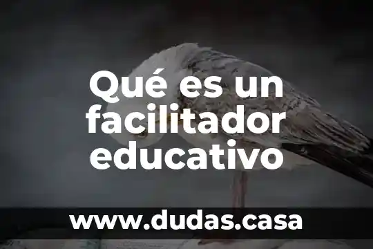 Qué es un facilitador educativo