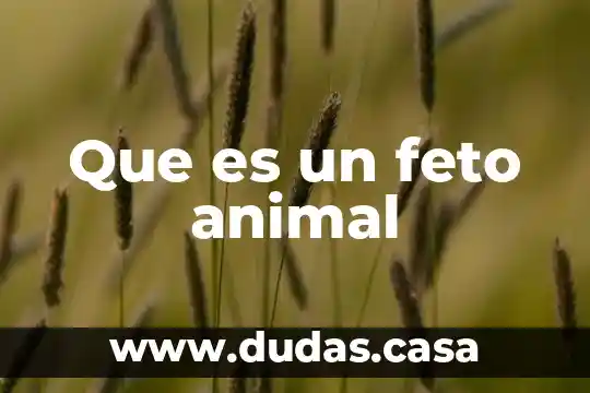 Que es un feto animal