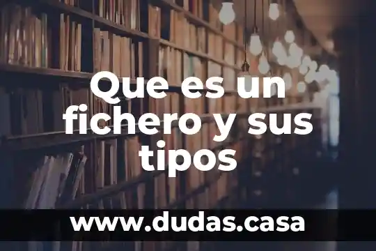 Que es un fichero y sus tipos
