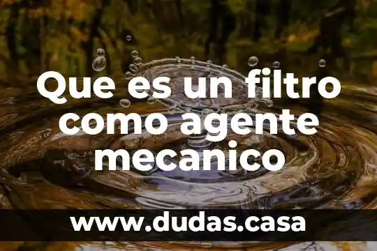 Que es un filtro como agente mecanico