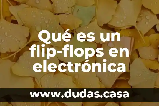 Qué es un flip-flops en electrónica