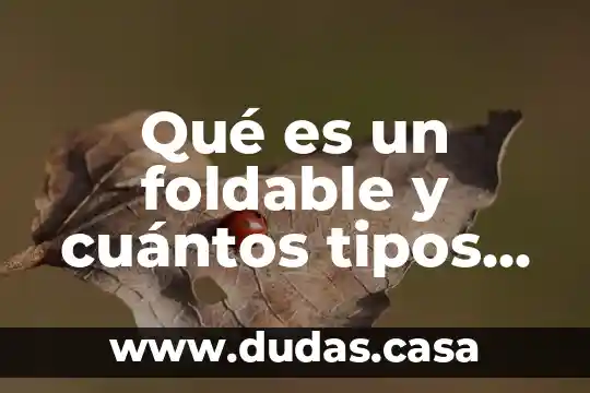 Qué es un foldable y cuántos tipos existen