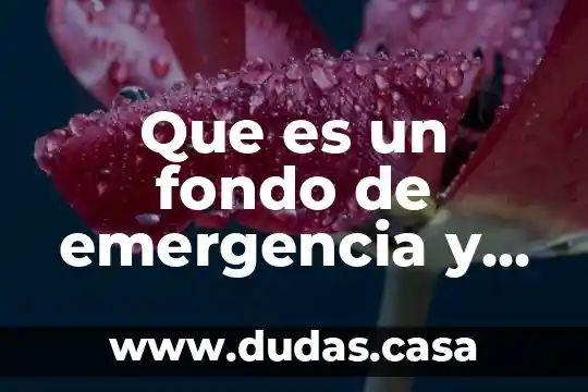 Que es un fondo de emergencia y para q sirve