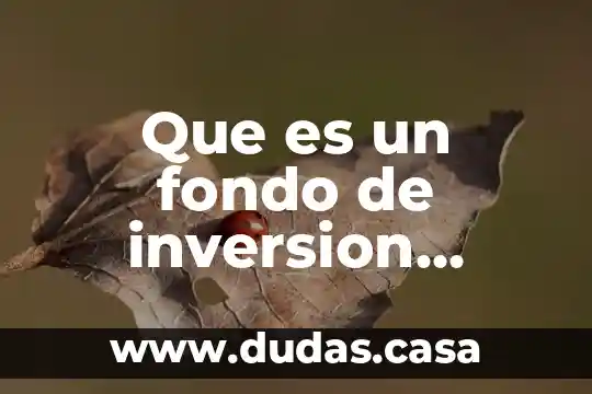 Que es un fondo de inversion publico