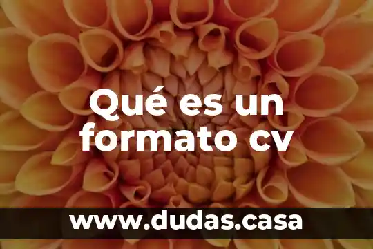 Qué es un formato cv
