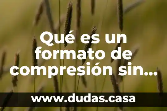 Qué es un formato de compresión sin pérdida