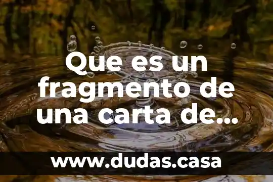 Que es un fragmento de una carta de lucilito