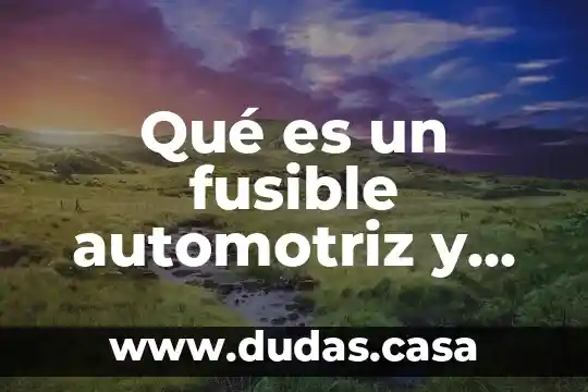 Qué es un fusible automotriz y cuáles son sus tipos