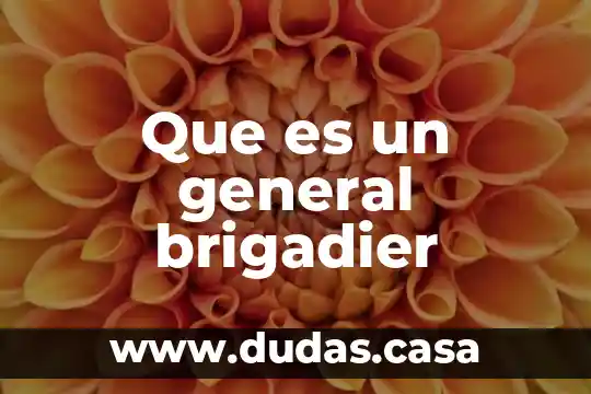 Que es un general brigadier