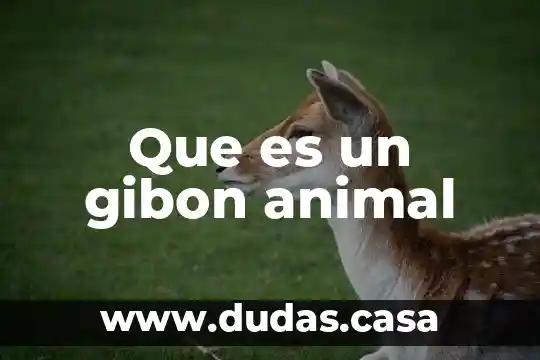 Que es un gibon animal