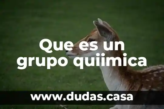 Que es un grupo quiimica