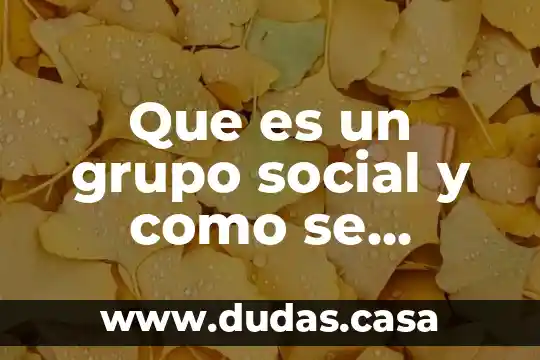 Que es grupo tress internacional 3 Que es un grupo social y como se clasifica