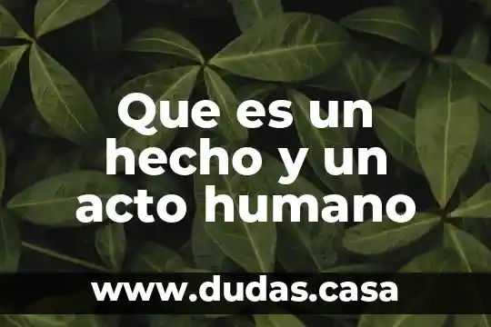 Que es un hecho y un acto humano
