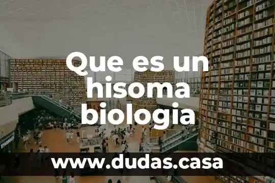 Que es un hisoma biologia