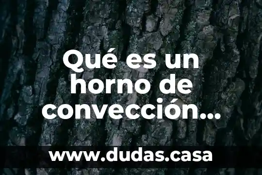 Qué es un horno de convección eléctrico